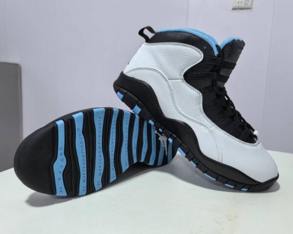 Air Jordan 10