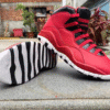 Air Jordan 10