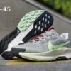 10.1 Pegasus Trail 5