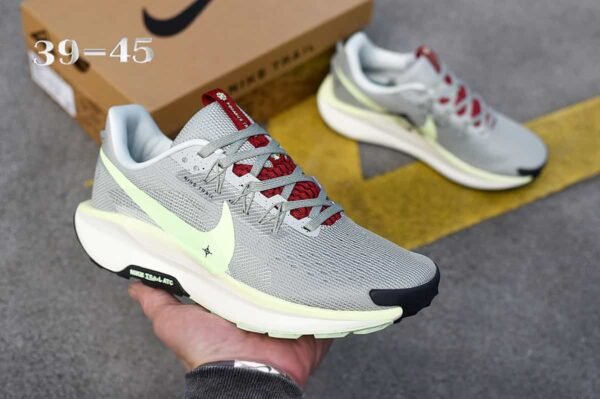 10.2 Pegasus Trail 5