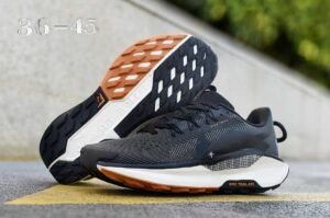 4.1 Pegasus Trail 5