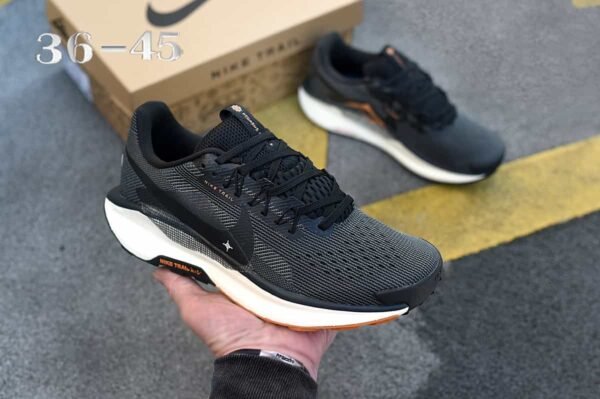 4.2 Pegasus Trail 5