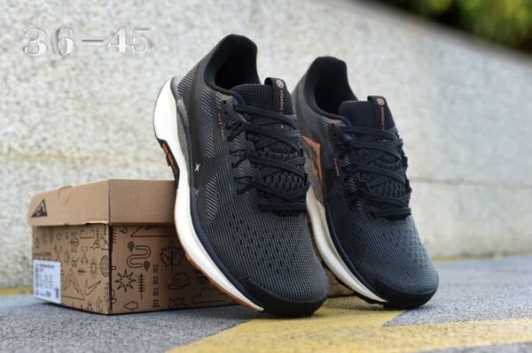 4.3 Pegasus Trail 5