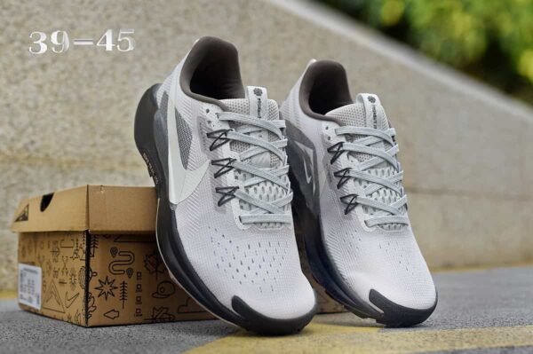 9.3 Pegasus Trail 5